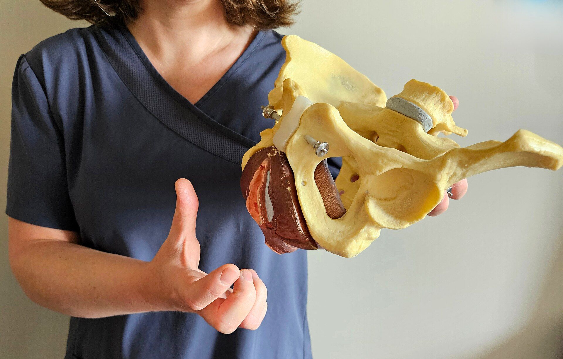 A practitioner in scrubs holds a model of a pelvis to explain the pelvic floor.